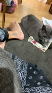 Amanda Seales feet photo thumbnail