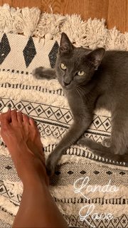 Amanda Seales feet photo thumbnail