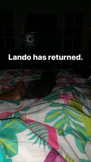 Amanda Seales feet photo thumbnail