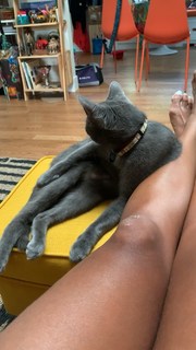 Amanda Seales feet photo thumbnail