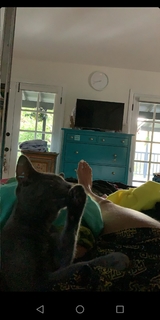 Amanda Seales feet photo thumbnail