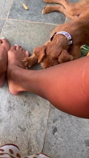 Amanda Seales feet photo thumbnail