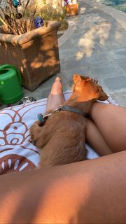 Amanda Seales feet photo thumbnail