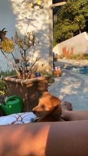 Amanda Seales feet photo thumbnail