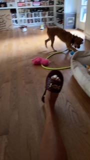 Amanda Seales feet photo thumbnail