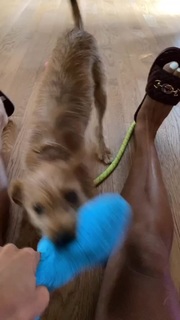 Amanda Seales feet photo thumbnail