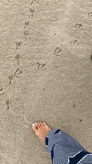 Amanda Seales feet photo thumbnail
