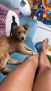 Amanda Seales feet photo thumbnail