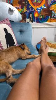 Amanda Seales feet photo thumbnail