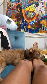 Amanda Seales feet photo thumbnail