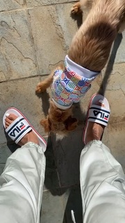 Amanda Seales feet photo thumbnail