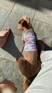 Amanda Seales feet photo thumbnail