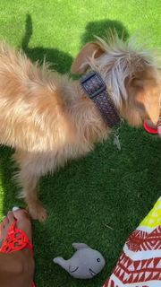 Amanda Seales feet photo thumbnail