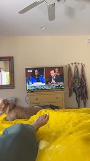 Amanda Seales feet photo thumbnail
