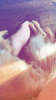 Amanda Seales feet photo thumbnail