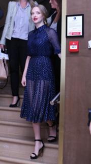 Amanda Seyfried feet photo thumbnail