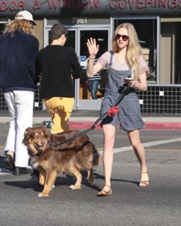 Amanda Seyfried feet photo thumbnail