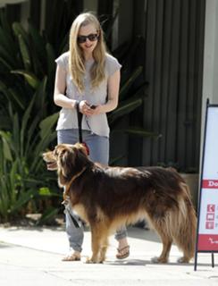 Amanda Seyfried feet photo thumbnail