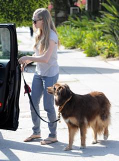 Amanda Seyfried feet photo thumbnail