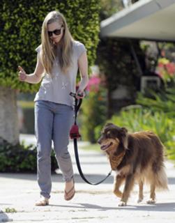 Amanda Seyfried feet photo thumbnail