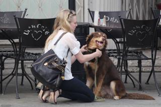 Amanda Seyfried feet photo thumbnail