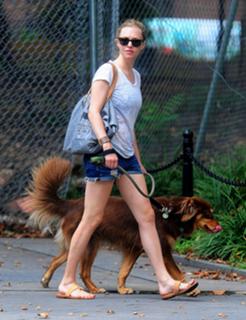 Amanda Seyfried feet photo thumbnail