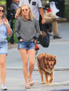 Amanda Seyfried feet photo thumbnail