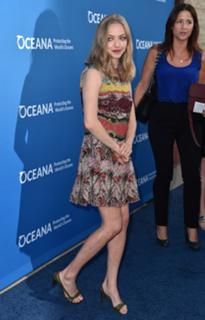 Amanda Seyfried feet photo thumbnail