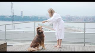 Amanda Seyfried feet photo thumbnail