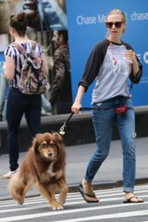 Amanda Seyfried feet photo thumbnail