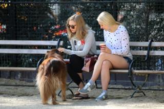 Amanda Seyfried feet photo thumbnail