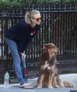 Amanda Seyfried feet photo thumbnail