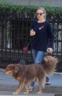 Amanda Seyfried feet photo thumbnail