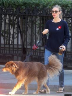 Amanda Seyfried feet photo thumbnail