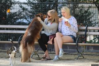Amanda Seyfried feet photo thumbnail