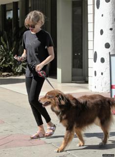 Amanda Seyfried feet photo thumbnail