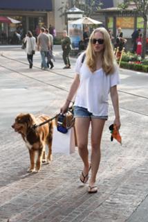 Amanda Seyfried feet photo thumbnail
