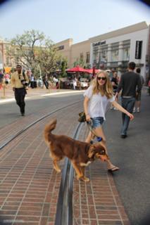 Amanda Seyfried feet photo thumbnail