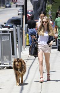 Amanda Seyfried feet photo thumbnail