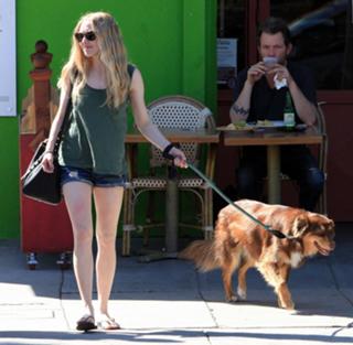 Amanda Seyfried feet photo thumbnail