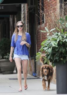 Amanda Seyfried feet photo thumbnail