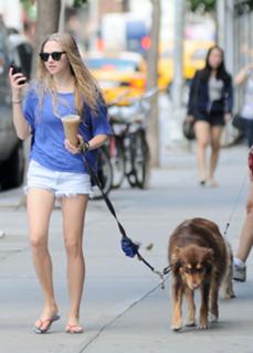Amanda Seyfried feet photo thumbnail