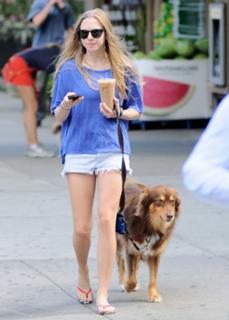 Amanda Seyfried feet photo thumbnail
