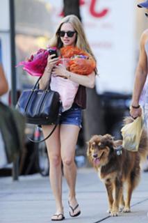 Amanda Seyfried feet photo thumbnail