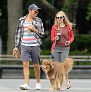 Amanda Seyfried feet photo thumbnail