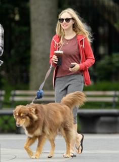 Amanda Seyfried feet photo thumbnail