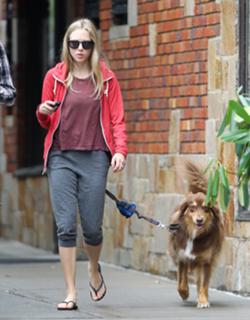 Amanda Seyfried feet photo thumbnail