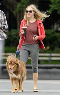 Amanda Seyfried feet photo thumbnail