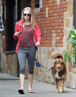 Amanda Seyfried feet photo thumbnail
