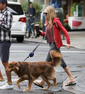Amanda Seyfried feet photo thumbnail